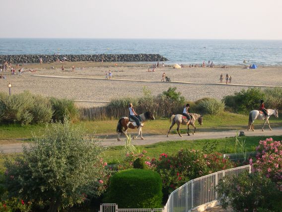 chevaux - plages