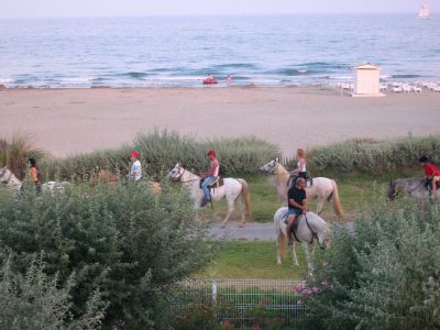  chevaux