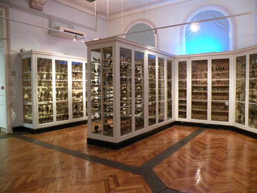  Oiseaux empaills, Museum d'Histoire Naturelle