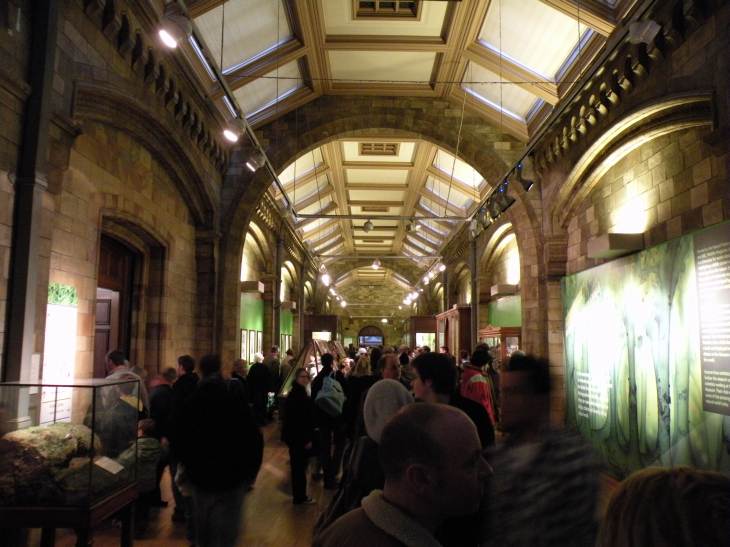  une galerie du museum