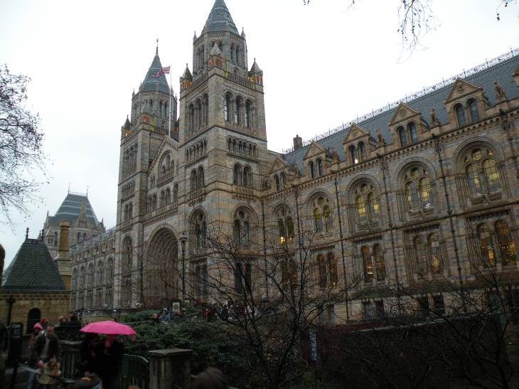  faade principale du museum d'histoire naturelle