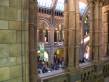  vue depuis une des galeries suprieures du museum