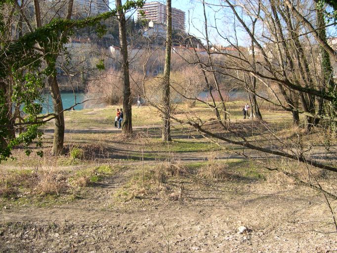  zone sauvage sur les berges du Rhne