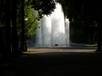  jet d'eau, Ppinire