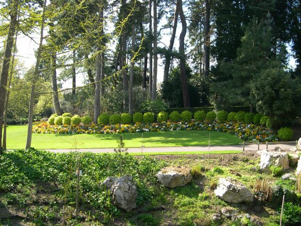  jardin des plantes