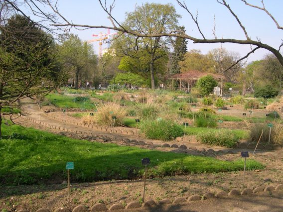  Jardin des Plantes - plantations
