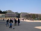  serres du jardin des Plantes