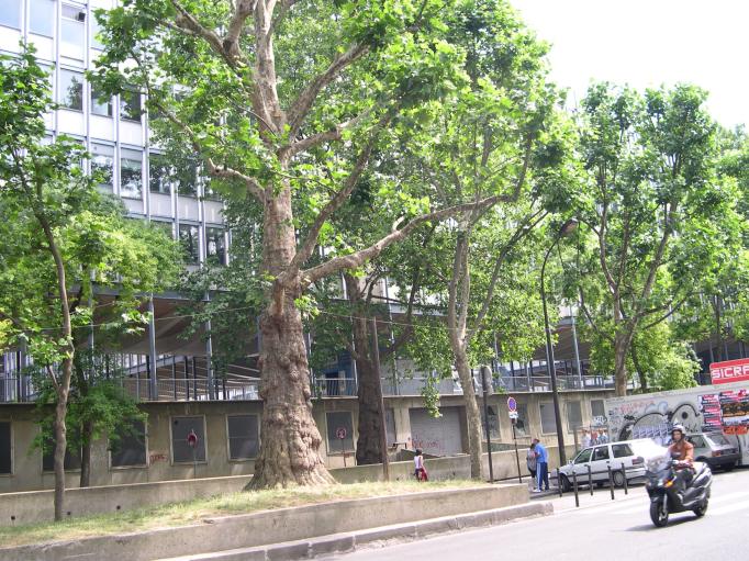  Jussieu (5e)
