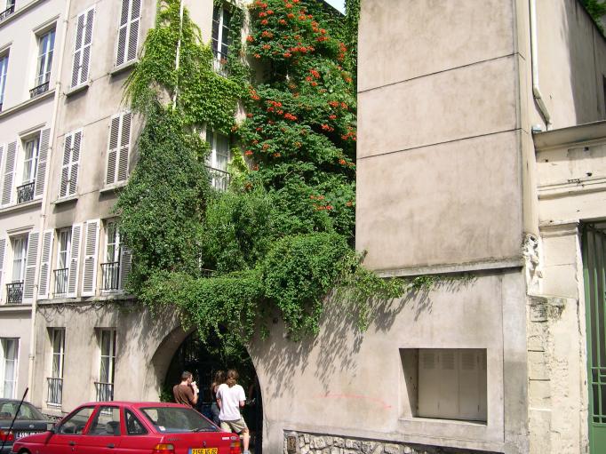  immeuble envahi pr la verdure (5e) 22-juin-2003