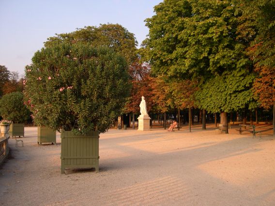  jardin du Luxembourg