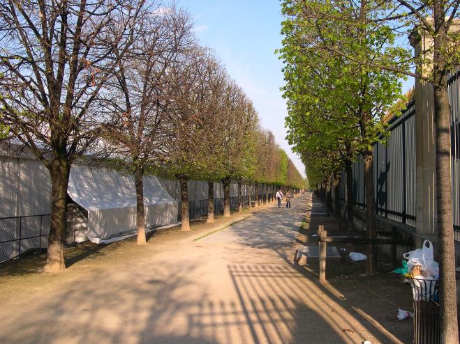  alle borde d'arbres