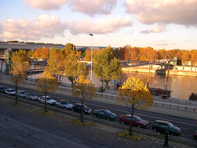  Passerelle sur la Seine, entre la bibliothque et le parc Bercy