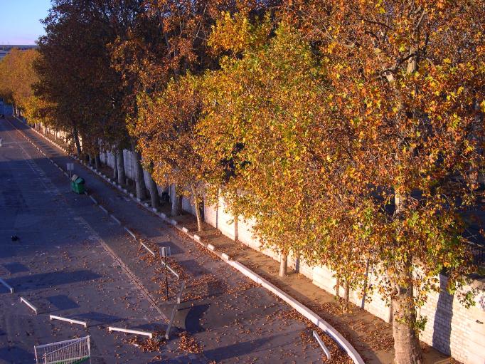  couleurs d'automne