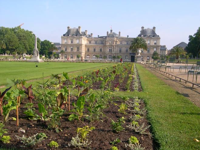 Alignement de fleurs (jardin du Luxembourg)
