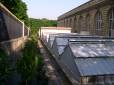  Serres de l'Ecole des mines (5e)