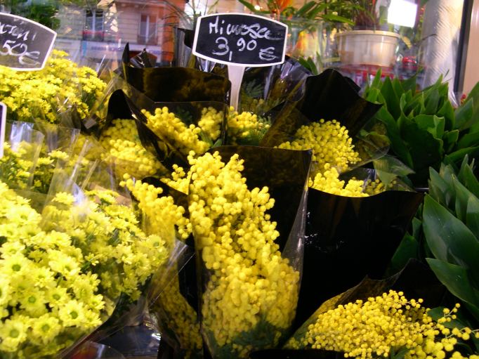  mimosa (fleuriste 14e arrondissement)
