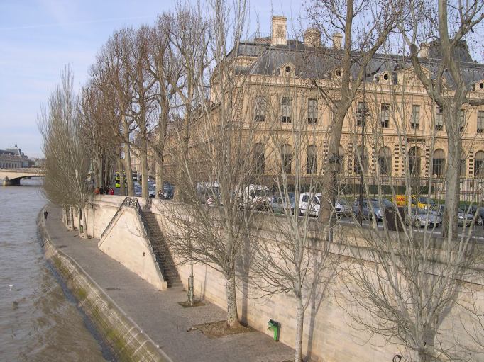  Matin d'hiver, berges de la Seine