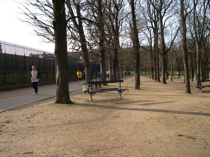  sportifs et arbres dnuds, jardin du Luxembourg