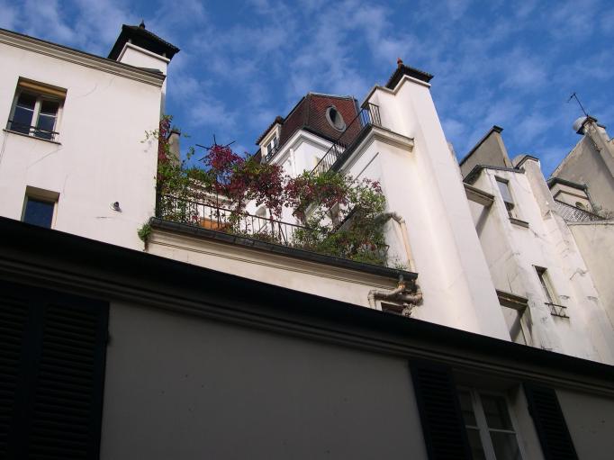  Terrasse, passage Saint-Andr des Arts