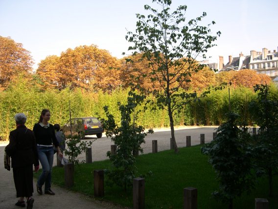  jardin des missions trangres, rue de Babylone