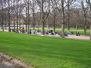  gymnastique matinale, jardin du Luxembourg