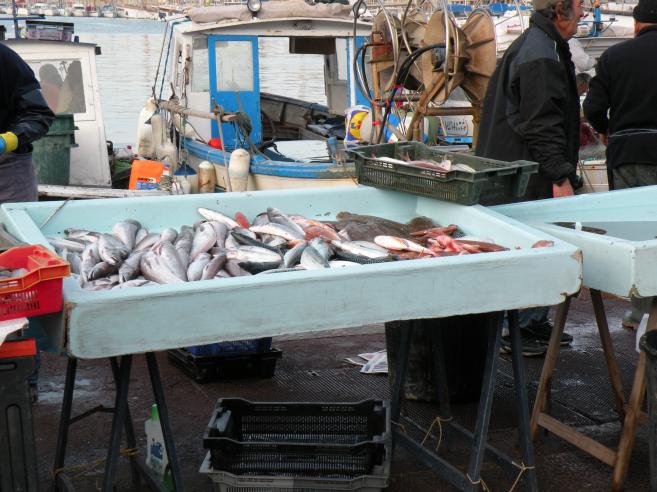  vente de poisson sur le Vieux Port
