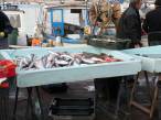  vente de poisson sur le Vieux Port
