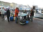  vente de poissons sur les quais
