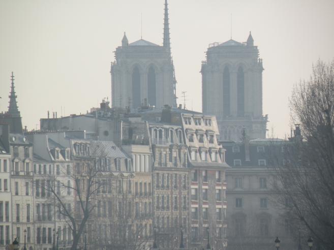  tours de Notre-Dame dans la brume d'hiver