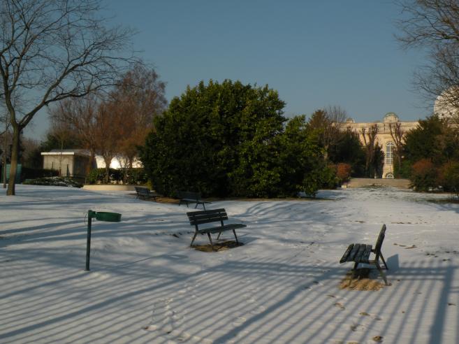  parc de l'Observatoire sous la neige
