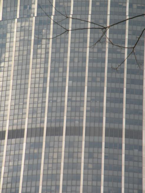   fentres de la tour Montparnasse