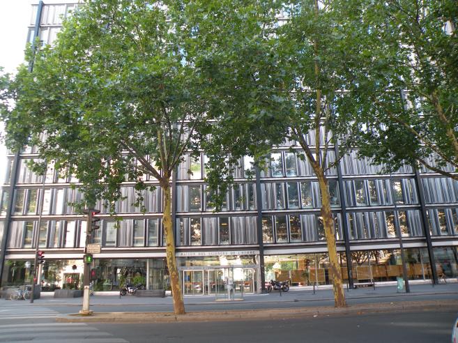  maison des Sciences de l'Homme, bd Raspail