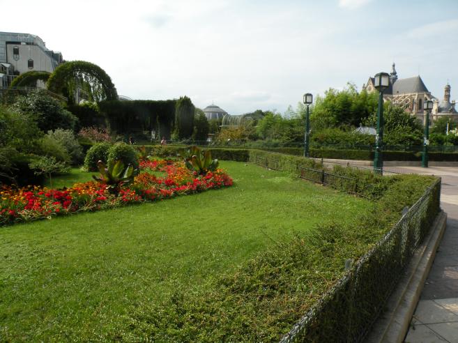  plantations et fleurs, quartier des Halles