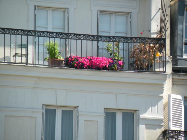  fleurs sur un balcon