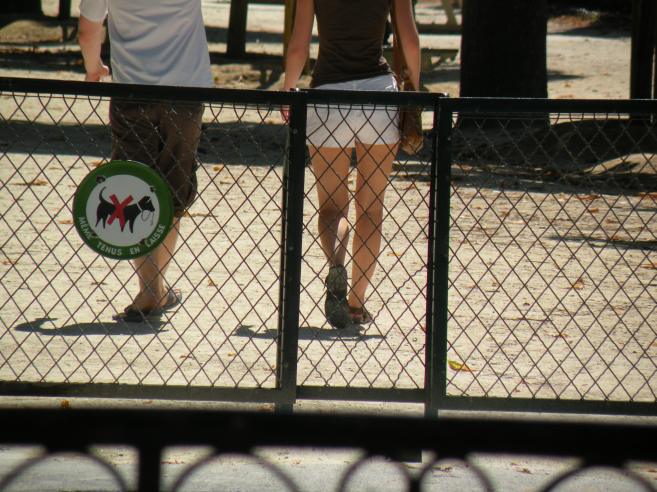  jambes de fille en short