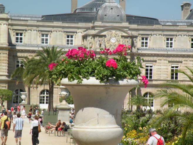  grande vasque avec des fleurs