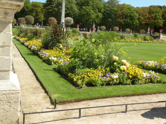  parterre de fleurs jaunes