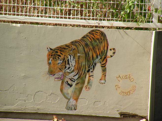  tigre dessin sur un mur, Mosko et associes