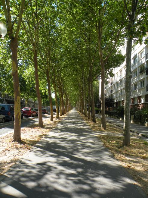  boulevard Saint-Jacques, 14e