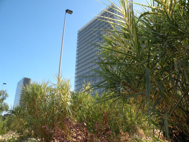  tours de la BNF, et verdure