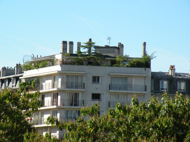  verdure sur les toits
