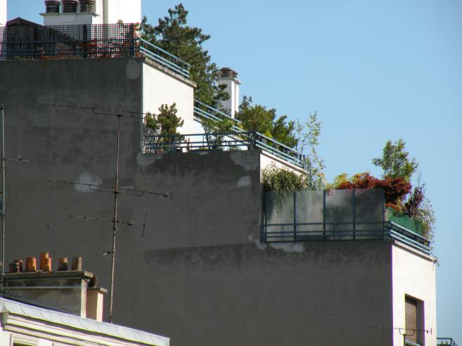  terrasses en haut d'un immeuble