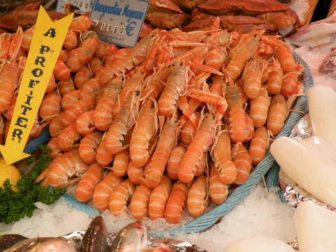  langoustines