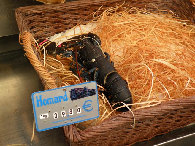  homard