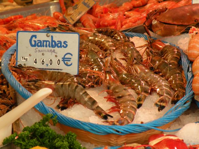  gambas