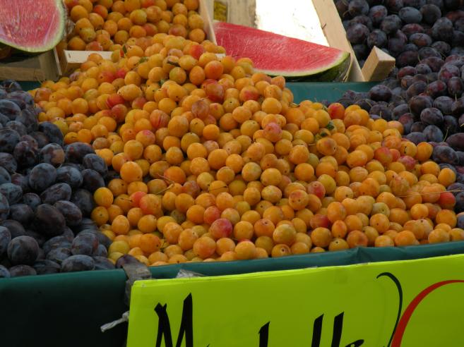  prunes et mirabelles