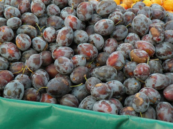  prunes noires