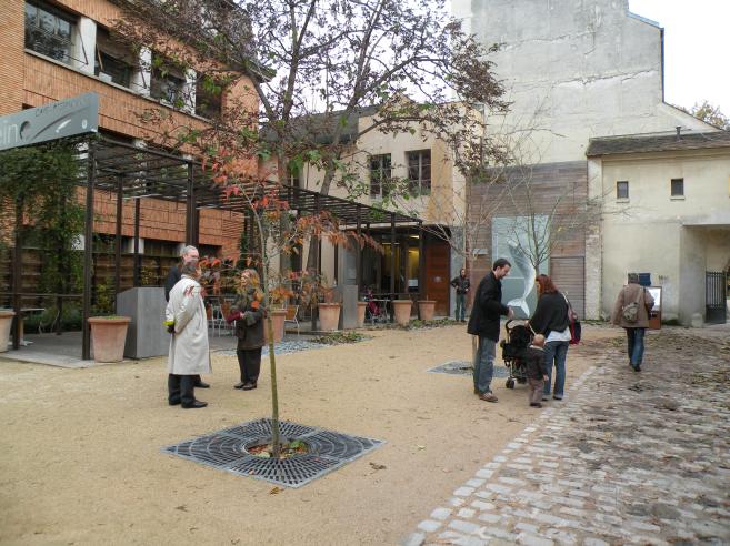 Terrasse du caf Baleine, rue Cuvier