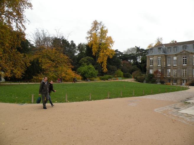  jardin des plantes en automne