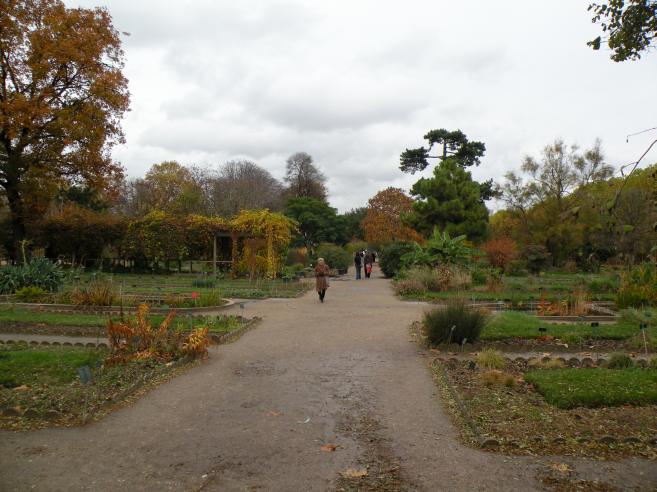  Ecole de botanique, jardin alpin